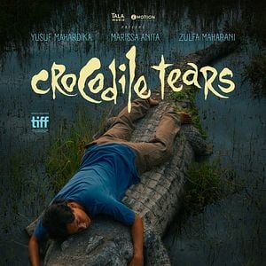 Les larmes du crocodile, critique d’une festivalière